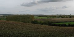 Fontenay Torcy (Champs 2)