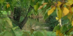 Fontenay Torcy (Le Thérain)