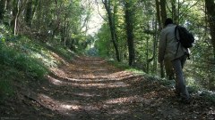 Fontenay Torcy (Chemin)