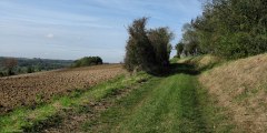 Sully (Chemin)