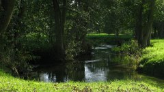 Sully (Le Thérain)