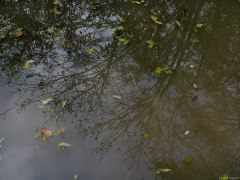 Gancourt St Eienne (Reflet)