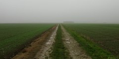Catheux (Chemin)