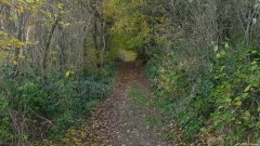 Val de Saâne (Chemin)
