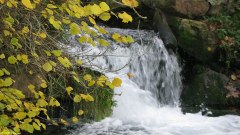 Val de Saâne (la Saâne)