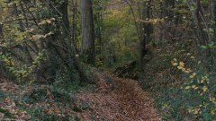 Val de Saâne (Sentier)