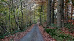 Val de Saâne (Route)