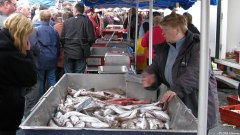 Dieppe (Etals)