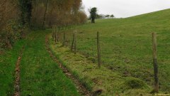 Le Bois-Robert (Chemin 2)