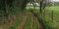Le Bois-Robert (Chemin 3)