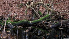 Freulleville  (Massif du Croc 1)