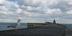 Dieppe (Goéland)