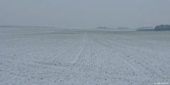 Airaines (Plaine)