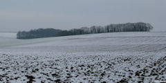 Hallencourt (Les Crupes 1)