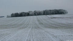 Hallencourt (Les Crupes 2)