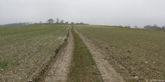 Envermeu (Chemin)