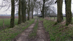 St Nicolas d'Aliermont (Chemin)