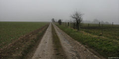 Notre Dame d'Aliermont (Chemin)