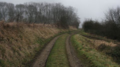 Ste Agathe d'Aliermont (Chemin)