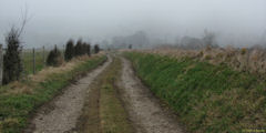 Wanchy Capval (Chemin 2)