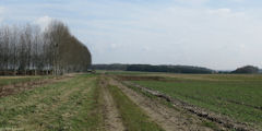 Forceville en Vimeu (Chemin)