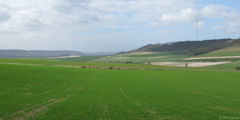 Mesnières en Bray (Vallée)
