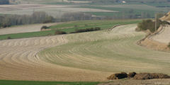 Baillolet (Plaine)