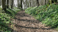 Croixdalle (Sentier)
