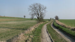 Fréauville (Chemin)