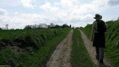 Routes (Chemin)