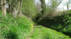 Harcanville (Chemin)
