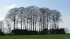 Doudeville (Maison)