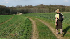 Etalleville (Chemin 1)