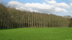 Etalleville (Prairie)