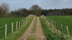Etalleville (Chemin 2)