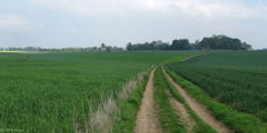 Ste Austreberthe (Chemin)