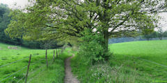 Sierville (Sentier)
