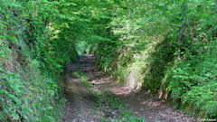 Fresquiennes (Chemin)