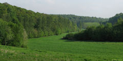 Fresquiennes (Vallon)
