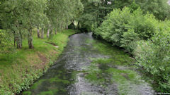 St Pierre de Varengeville (Austreberthe)