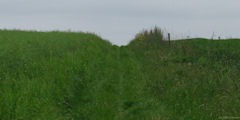 St Pierre de Varengeville (Chemin)