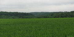 Barentin (Vallons)