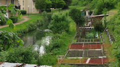 Barentin (Jardins)