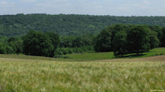 St Paër (Vallée 1)