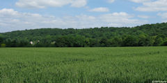 St Paër (Vallée 2)