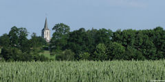 Ste Marguerite sur Duclair (Eglise)
