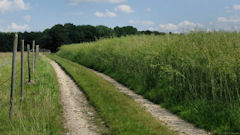 St Pierre de Manneville (Chemin 2)
