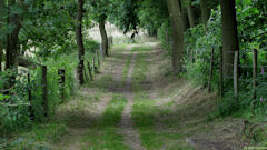Amfreville la Mi-Voie (Chemin)