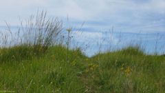 Belbeuf (Sentier)