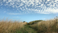 Dieppe (Sentier 1)
